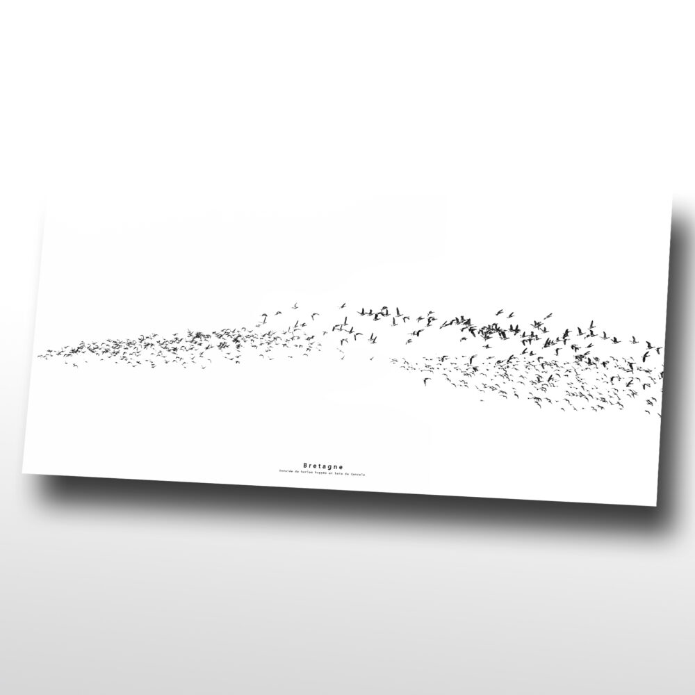 Image déco Bretagne panoramique sur plexi