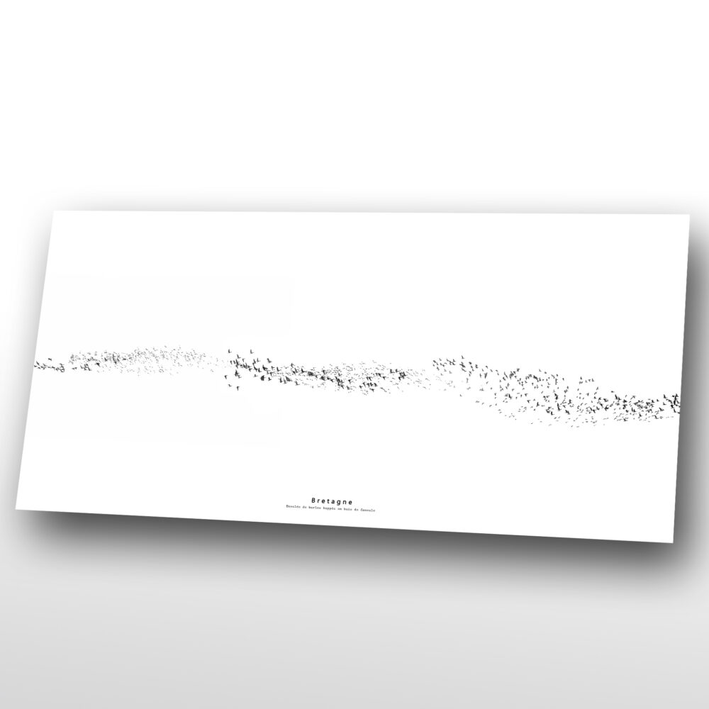 Image déco Bretagne panoramique sur plexi